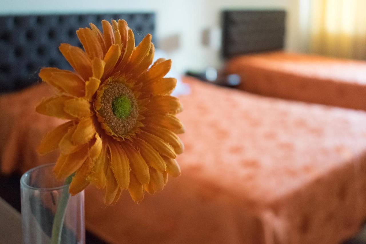 Guest house Solari Trujillo